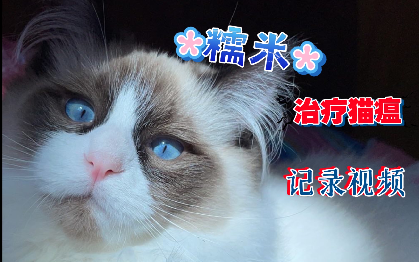 关于妯?h魙t€餐@I瘘?麁狲蒴N鞍<?exJ=?韥鱼?q$鶬|?N勫?7y椦叴覕的信息